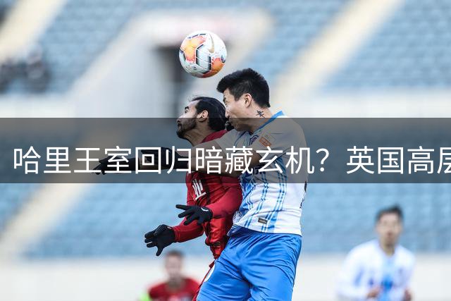哈里王室回归暗藏玄机？英国高层力挺引发离婚猜想
