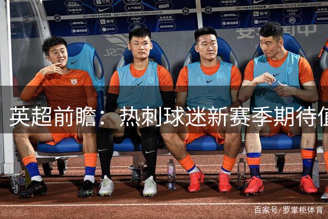 英超前瞻：热刺球迷新赛季期待值大调查
