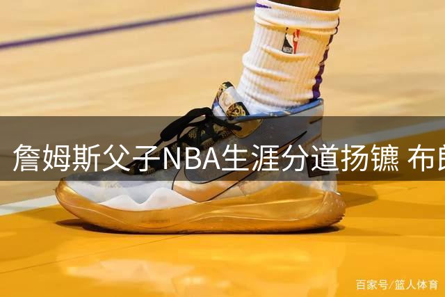 詹姆斯父子NBA生涯分道扬镳 布朗尼留守湖人获全额保障合同